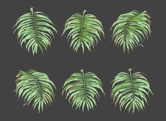 Fototapeta na wymiar Palm Leaves Vector Set