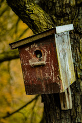 Vogelhaus am Baum