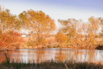 Pond in Autumn
