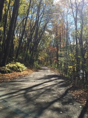 Fototapeta premium trail thru the autumn colors