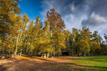 Fototapeta premium Park at Castle Sneznik in Slovenia