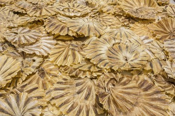 Dried salted, fillets of fish preserved in salt - close up of dried salted fish