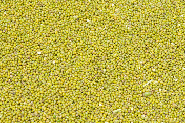 Mung beans bakcground