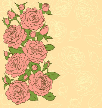 flowers, leaves and buds of pink roses. Painted in the old style. Suitable background for text and postcards