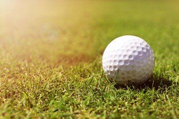 Golf ball on lip of cup on the green golf course, close up