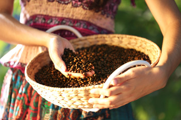 Female touching coffee beans in the basket