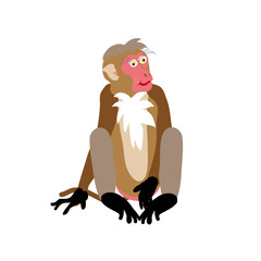 お洒落な猿のクリップアート