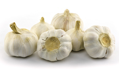 Garlic on white background