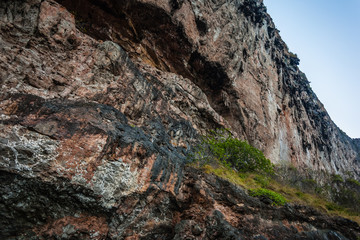 Naklejka premium Prehistoric terrain