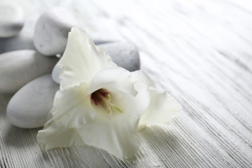 Spa set on wooden table closeup