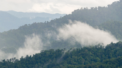 Layers of high mountain, foggy on rain forest.