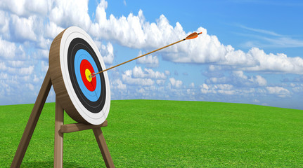 Archery target with an arrow stuck accurately in the center ring bullseye - 95431053