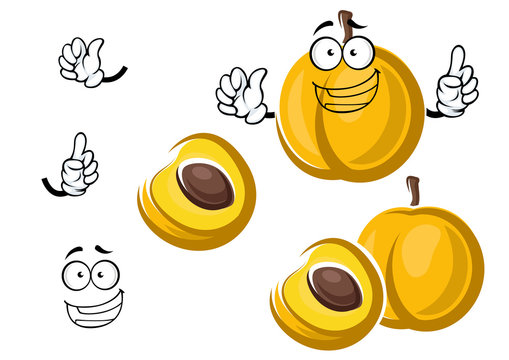 Cartoon sweet yellow apricot fruit character