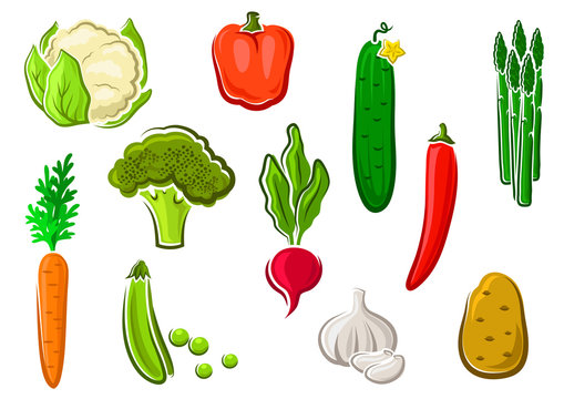 Healthy ripe colorful vegetables icons