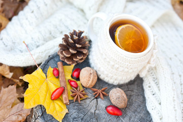 Cup of hot drink, knitting clothes, winter scarf on an old dry tree stump in the forest
