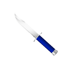 Knife with blue handle