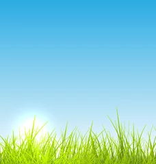 Foto op Plexiglas Green fresh grass and blue sky summer background © -=MadDog=-