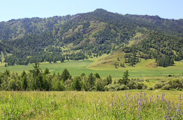 Fototapeta na wymiar Beautiful summer landscape of Altai Mountains.