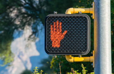 Don't Walk!  Crosswalk Sign.