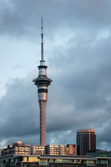 Obraz premium Auckland Sky Tower at sunset