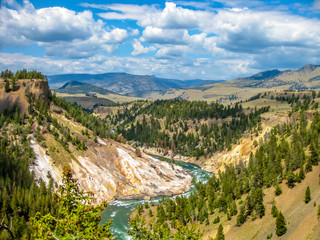 Fototapeta premium Grand Canyon in Yellowstone River