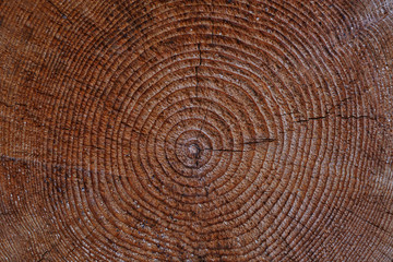 Naklejka premium Wooden background
