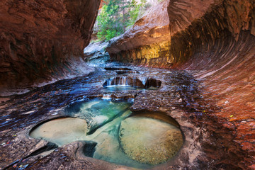 Canyon in Zion