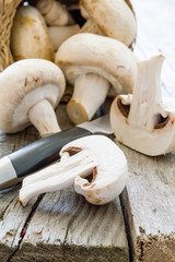 Raw mushrooms in basket, copy space