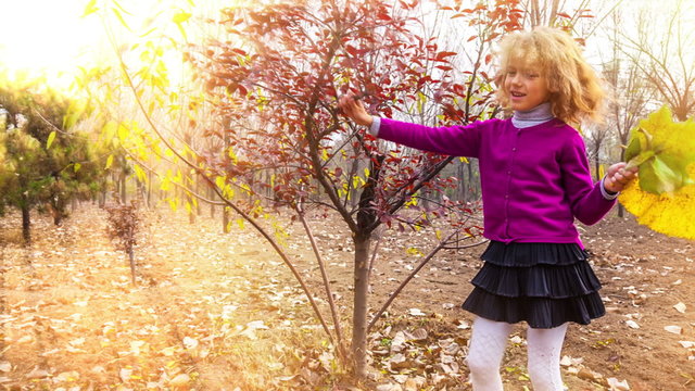 Cute girl walk in the rays of the autumn sun.