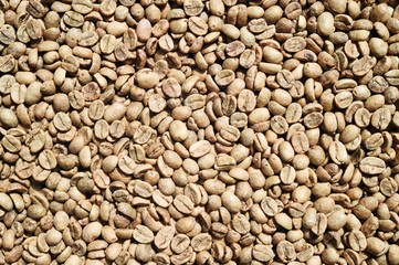 Coffee beans for backgrounds or textures 

