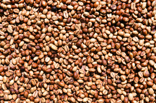 Coffee beans for backgrounds or textures 
