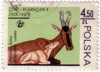 POLAND - CIRCA 1978: A Stamp printed in Poland, shows image of a