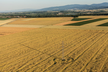 Obraz premium aerial view of harvest fields