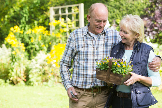 Senior Couple Working In Garden Together