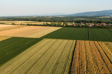 aerial view of harvest fields