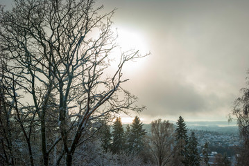 Obraz na płótnie Canvas View to Holmenkollen, Oslo over trees in winter