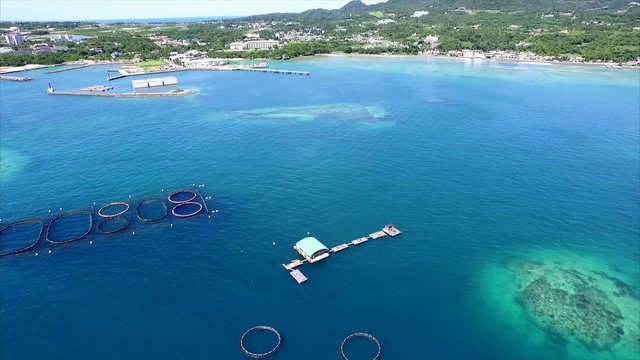 空撮 シーカヤック カヌー