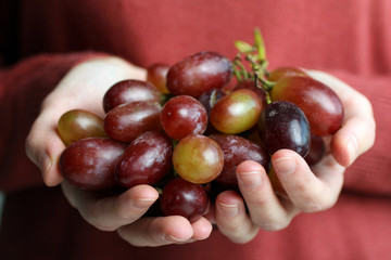large grapes in the hands of women