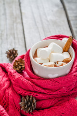 Hot chocolate with marshmallow and pine cones