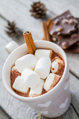 Hot chocolate with marshmallow and pine cones