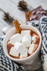 Hands in mittens holding hot chocolate
