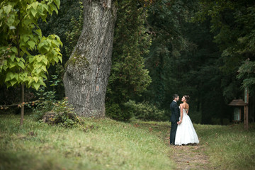 Beautiful wedding couple posing