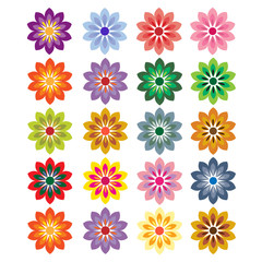 flower vector
