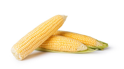 corn