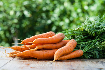 fresh carrots bunch - obrazy, fototapety, plakaty