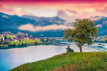 Photo sur Plexiglas Colline View from the hill on Lungerersee lake.