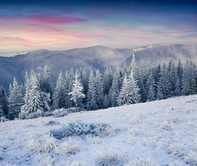 Fototapeta na wymiar Colorful winter sunrise in the mountains.