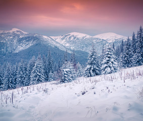 Fototapeta premium Beautiful winter sunrise in the Carpathian mountains.