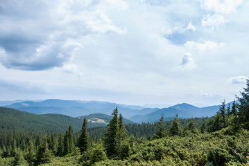 Fototapeta na wymiar View from Goverla in the Carpathians, summer