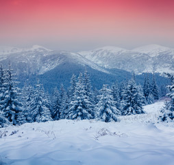 Fototapeta na wymiar Beautiful winter sunrise in the Carpathian mountains.